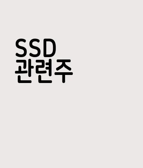 SSD 관련주