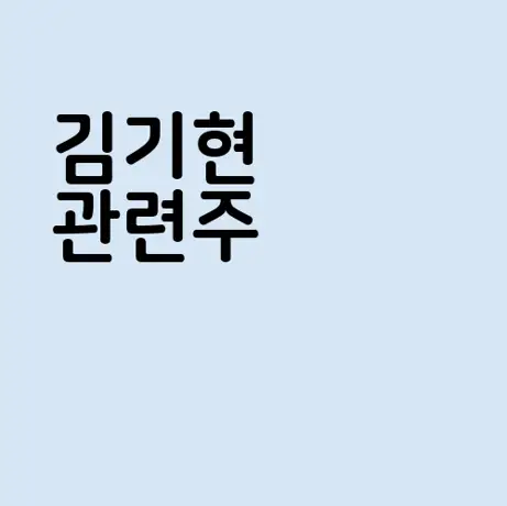 김기현  관련주