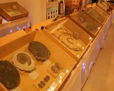 영월 화석박물관
