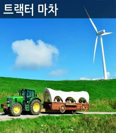 대관령 하늘목장