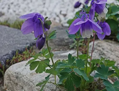 죽도해수욕장