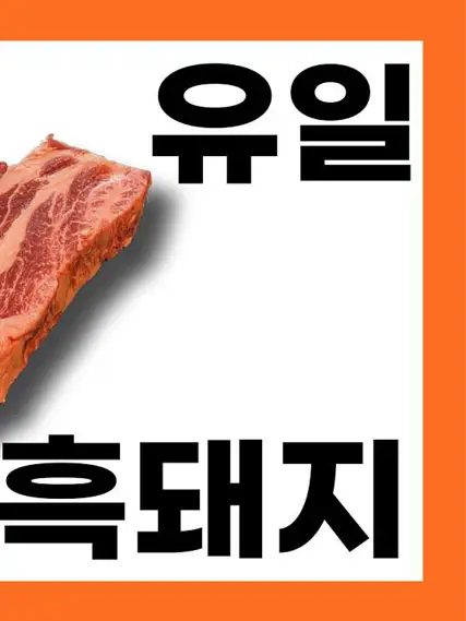 흑돈