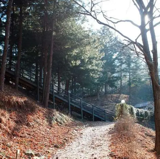 청평자연휴양림